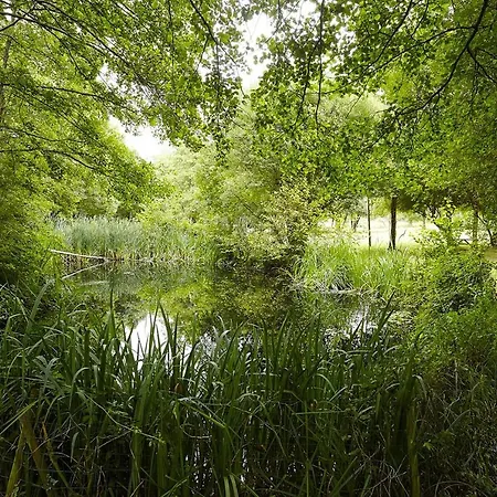 Holiday home Un Petit Coin De Campagne Dans Le Pays De Saint-gilles *